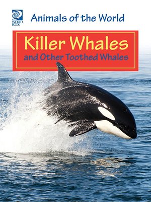 cover image of Killer Whales and Other Toothed Whales